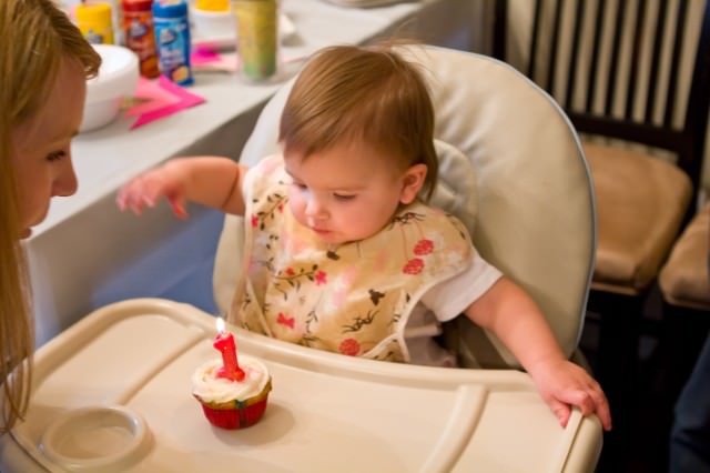 Olivia's First Birthday