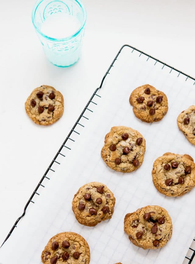 Chewy Chocolate Chip Cookies Recipe 
